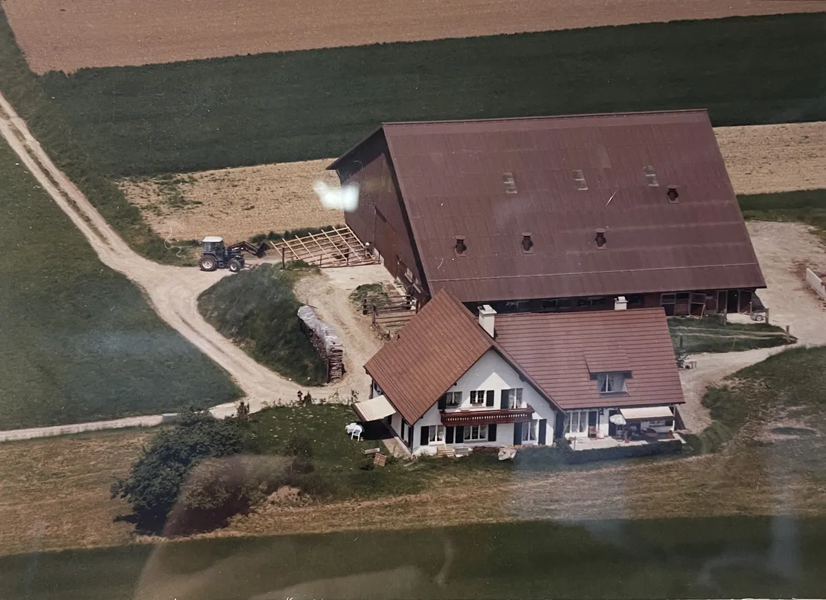 Der Steinackerhof kurz nach dem Bau, 1989