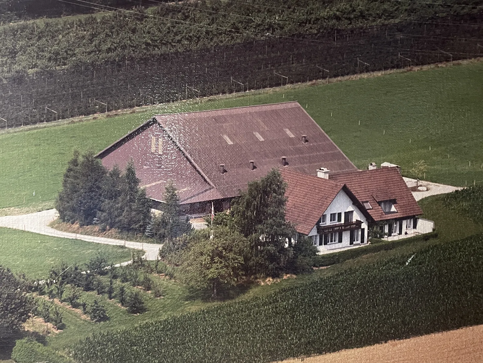 Der Steinackerhof aus der Luft, ca. 1995