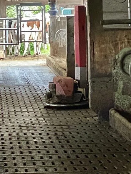 Der Mistroboter auf dem Spaltenboden